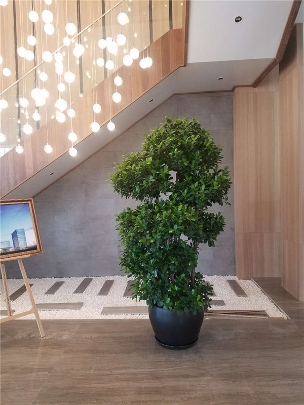 酒店綠植租擺